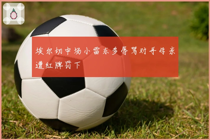 埃尔切中场小雷东多辱骂对手母亲遭红牌罚下